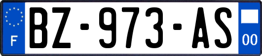 BZ-973-AS