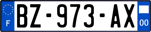 BZ-973-AX