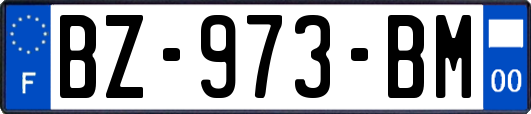 BZ-973-BM