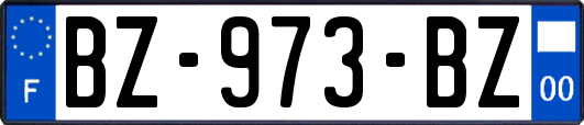 BZ-973-BZ