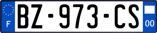 BZ-973-CS