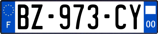 BZ-973-CY