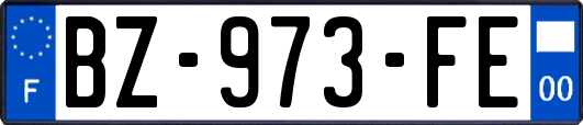 BZ-973-FE