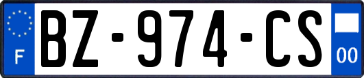 BZ-974-CS