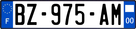 BZ-975-AM