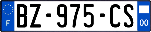 BZ-975-CS