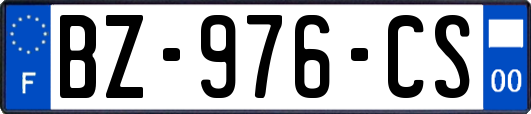 BZ-976-CS