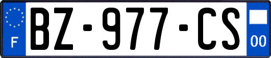 BZ-977-CS