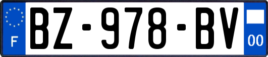 BZ-978-BV