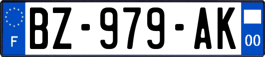 BZ-979-AK