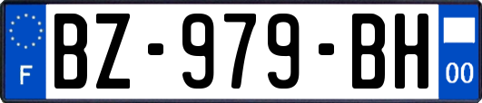 BZ-979-BH