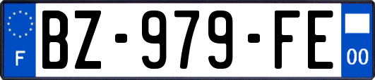 BZ-979-FE