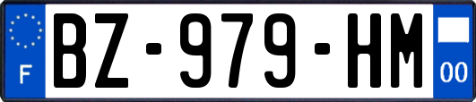 BZ-979-HM