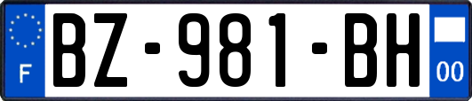 BZ-981-BH