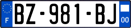 BZ-981-BJ