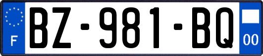 BZ-981-BQ