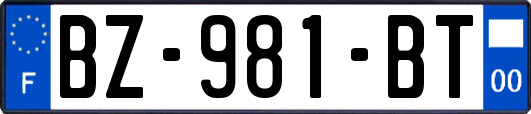 BZ-981-BT