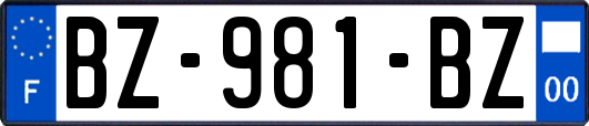 BZ-981-BZ