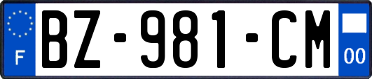 BZ-981-CM