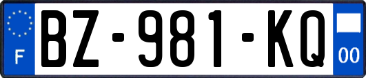 BZ-981-KQ