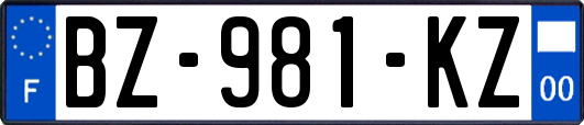 BZ-981-KZ