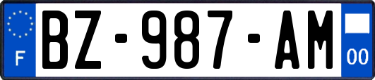 BZ-987-AM