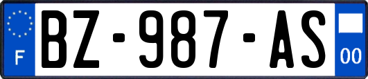 BZ-987-AS