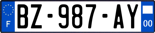 BZ-987-AY