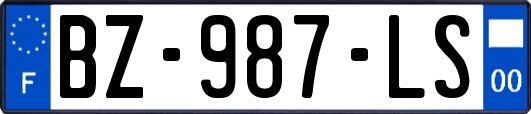 BZ-987-LS