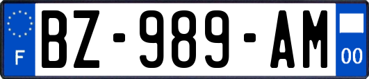 BZ-989-AM