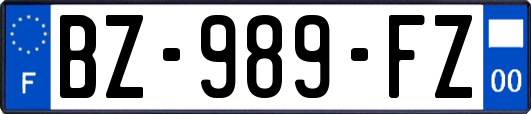 BZ-989-FZ