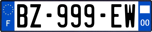 BZ-999-EW