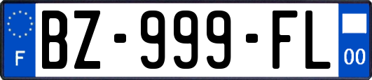 BZ-999-FL