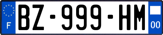 BZ-999-HM