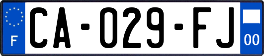 CA-029-FJ