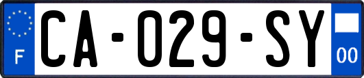 CA-029-SY