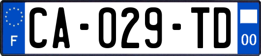 CA-029-TD