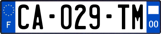 CA-029-TM