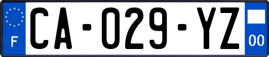 CA-029-YZ