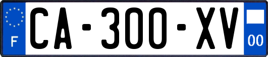 CA-300-XV