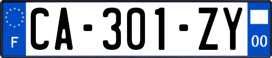 CA-301-ZY