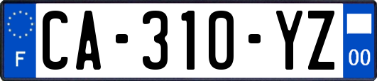 CA-310-YZ