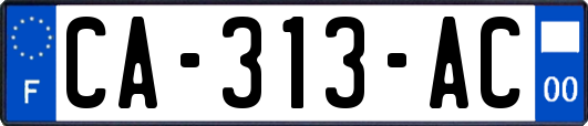 CA-313-AC