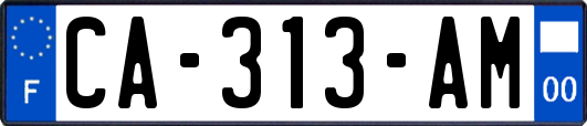 CA-313-AM