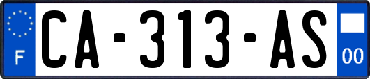 CA-313-AS