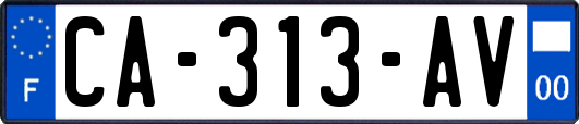 CA-313-AV