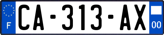 CA-313-AX