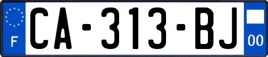 CA-313-BJ