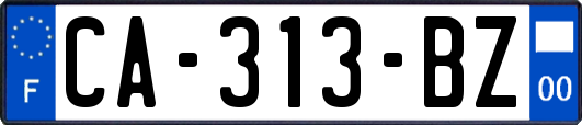 CA-313-BZ