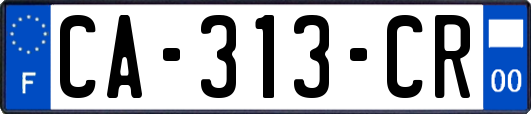 CA-313-CR